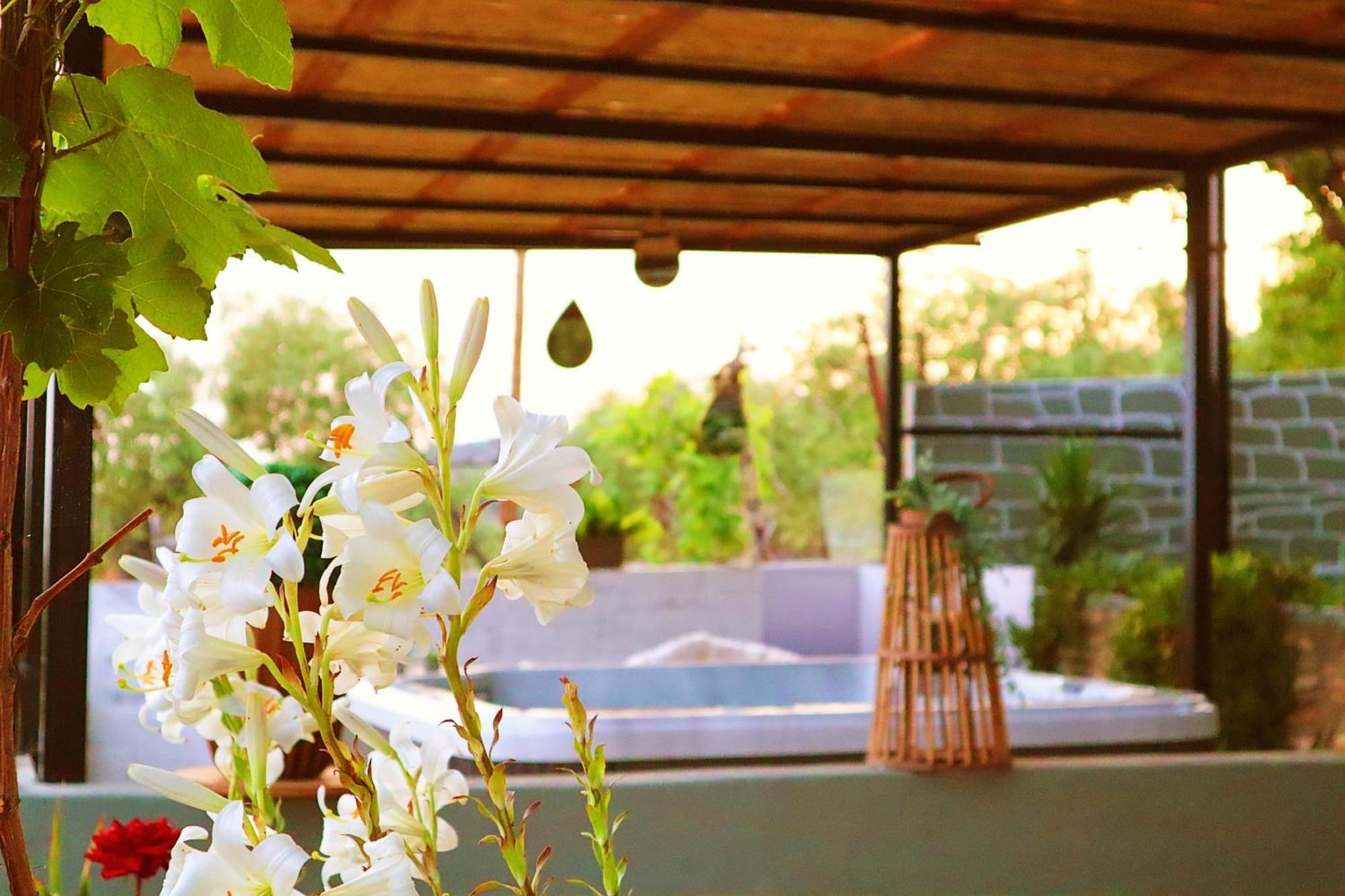 Thassion-Ikea Feels Like Home Astris Exterior foto
